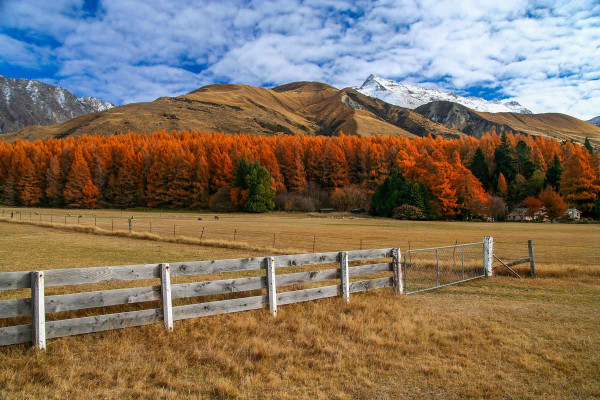 Parcelación · Topógrafos Servicios Topográficos y Geomáticos Baix Pallars