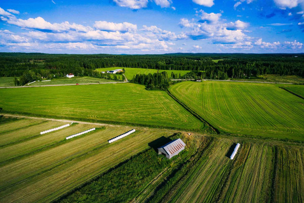 Segregar Fincas · Topógrafos Servicios Topográficos y Geomáticos Fígols i Alinyà